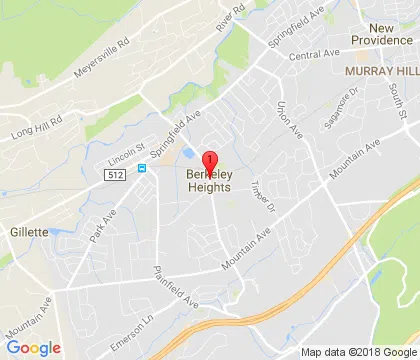 logo-image - berkeley-heights-nj